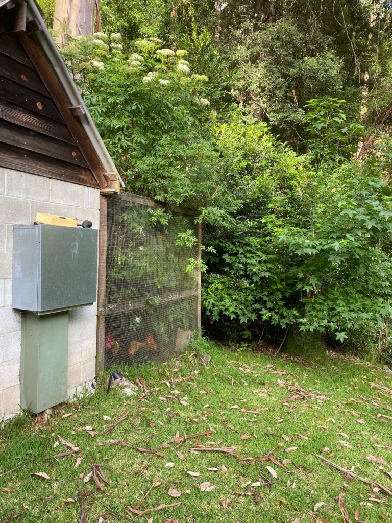 Mid Article - in section on how alpha gal works