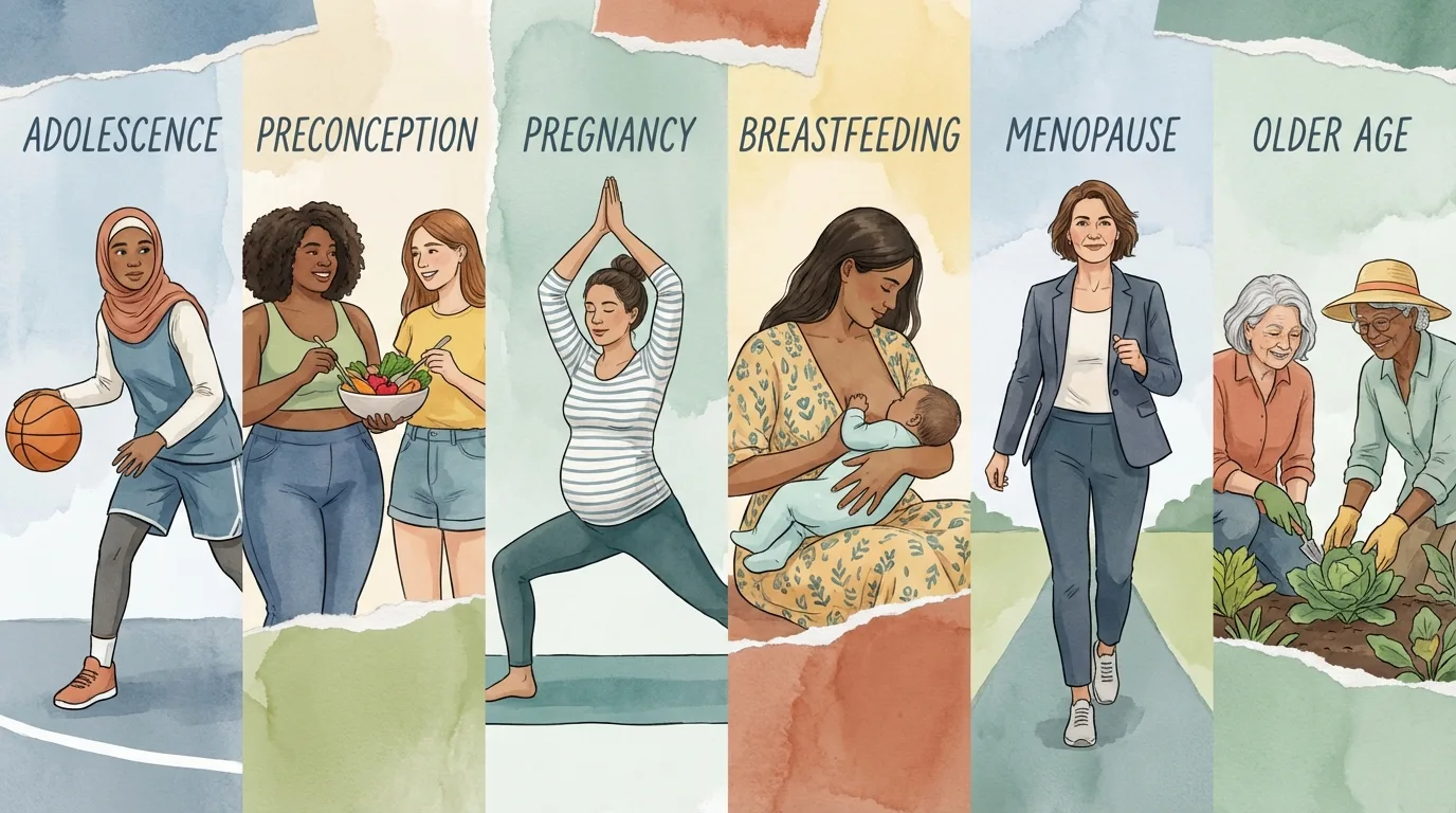 Illustrated panels of women's life stages from adolescence through preconception, pregnancy, breastfeeding, menopause and older age